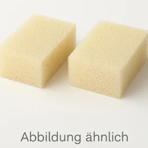 Eheim Grobfilter für skim350 (3536), 2 Stück Sofort Bestellen